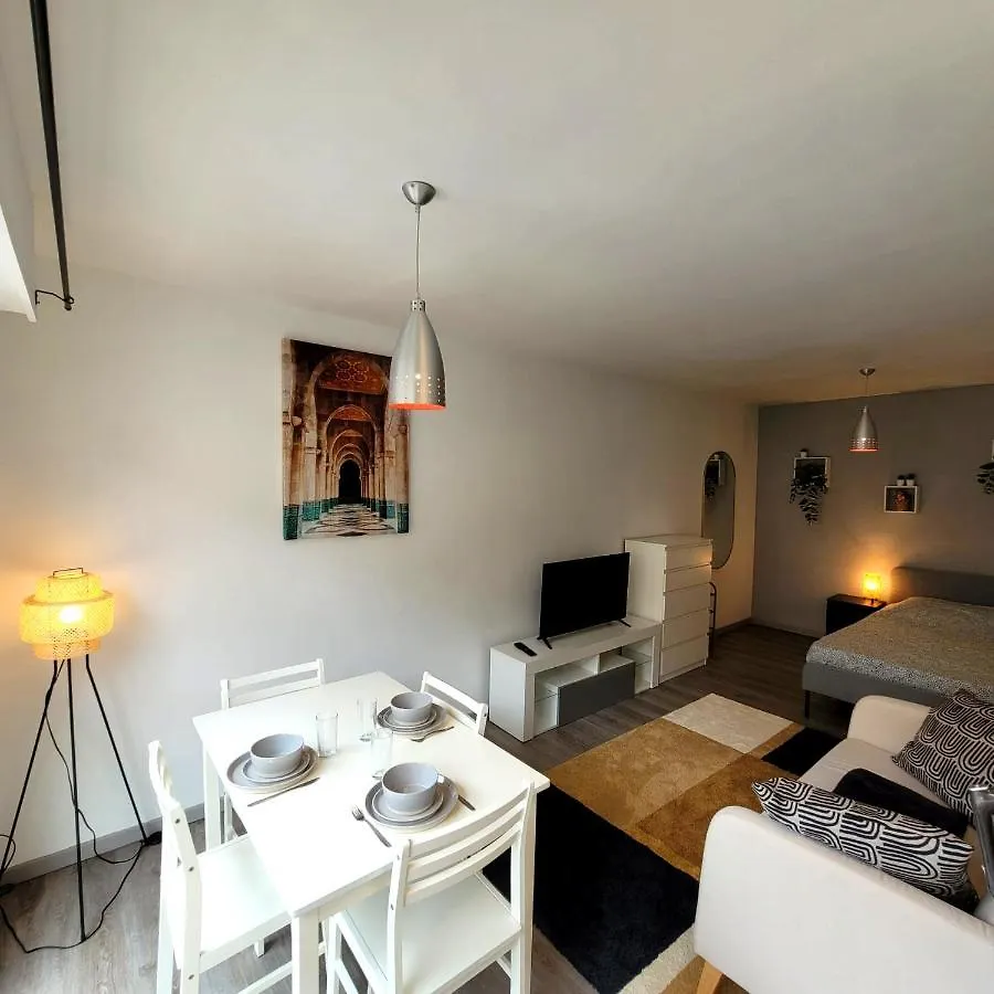 Le Revol Apartment Grenoble